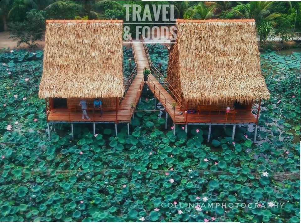 Không gian miệt vườn tại Homestay Tư Cá Linh