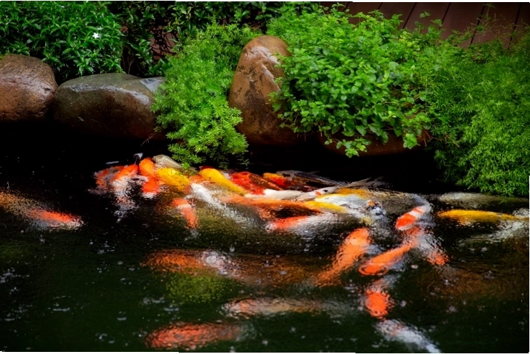 Không gian nghỉ dưỡng sang trọng