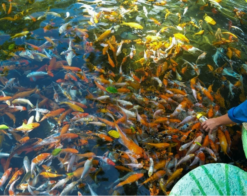 Không gian nhà hàng tại Suối Mơ