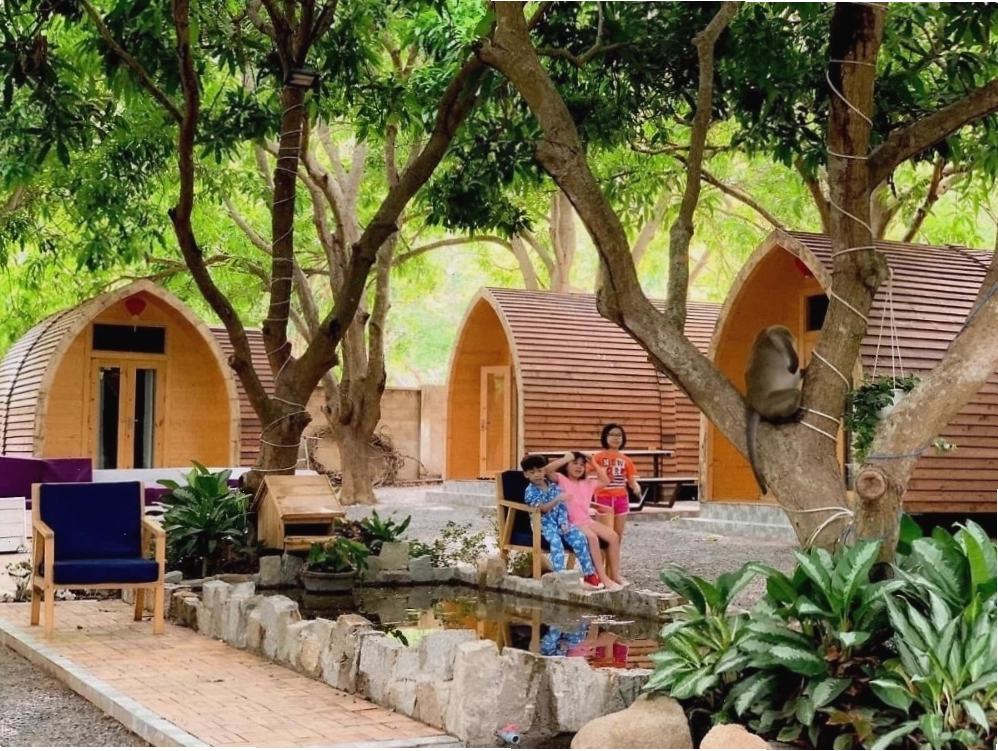 Không gian phòng tại Mango Homestay Phước Hải
