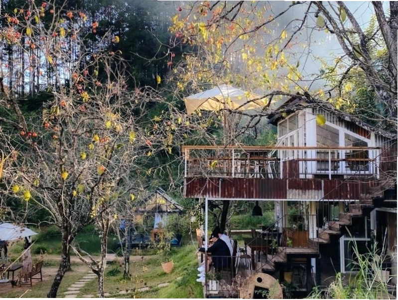 Không gian quán cà phê của Đợi Một Người Homestay