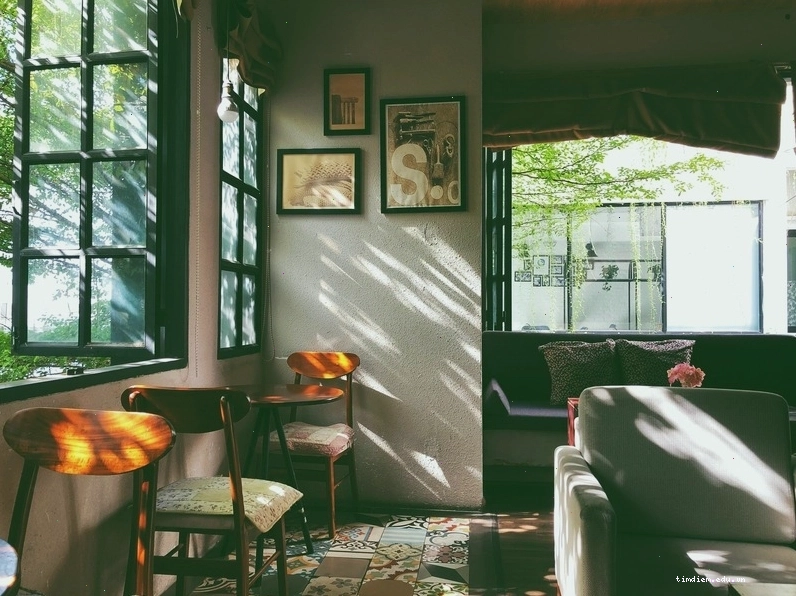 Không gian quán cafe đẹp ở quận 10 với nhiều cây xanh và ánh sáng tự nhiên