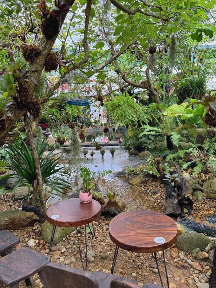 Không gian quán cafe Hòa Xuân với thiết kế thoáng đãng và cây xanh