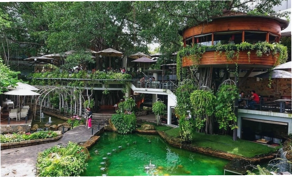 Không gian rộng rãi và cây xanh mát tại Du Miên Garden Cafe