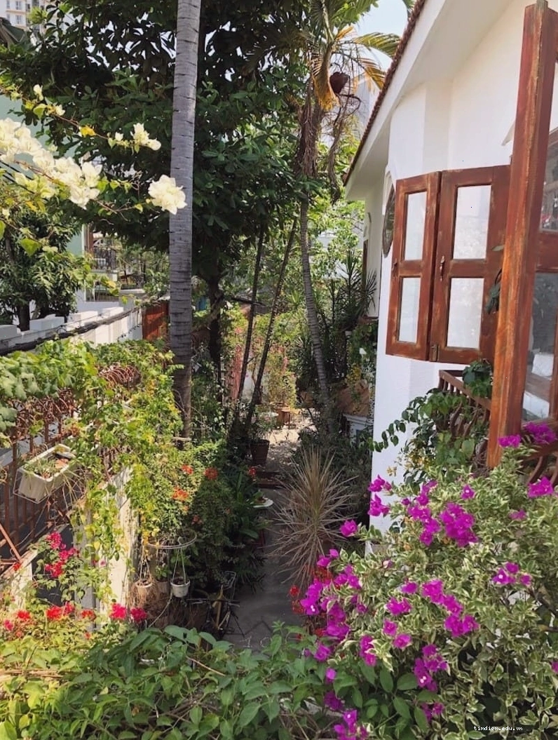 Không gian sân vườn xanh mát bao quanh Caramew Cafe