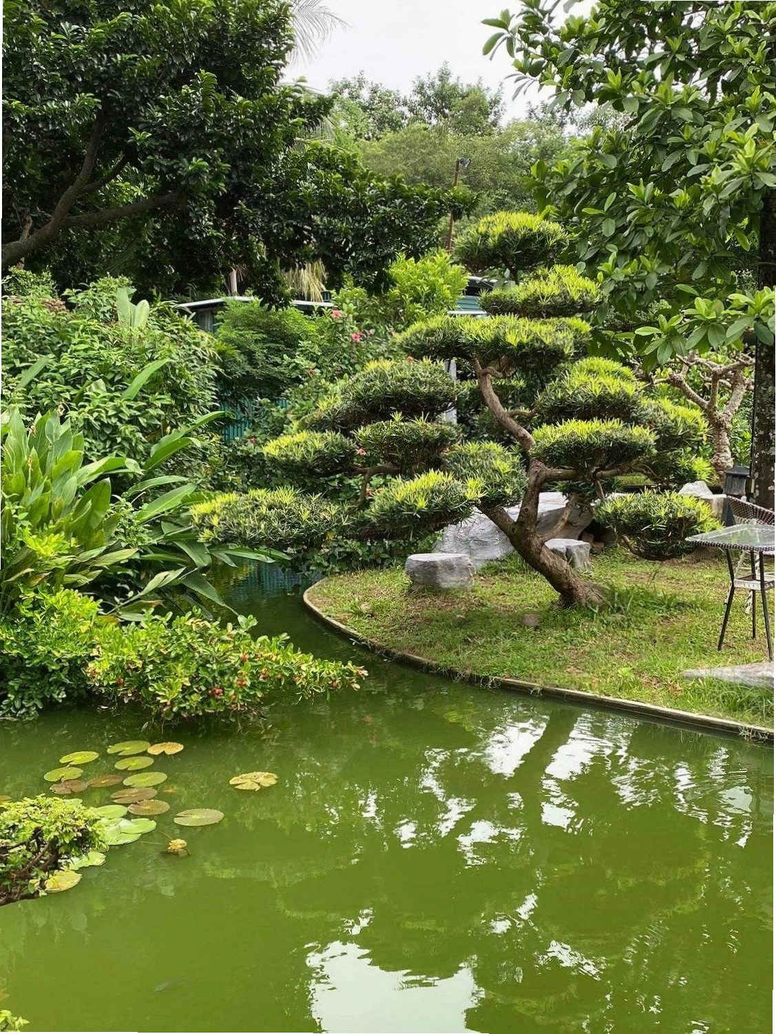 Không gian sân vườn xanh mướt tại Nhà hàng Softwater