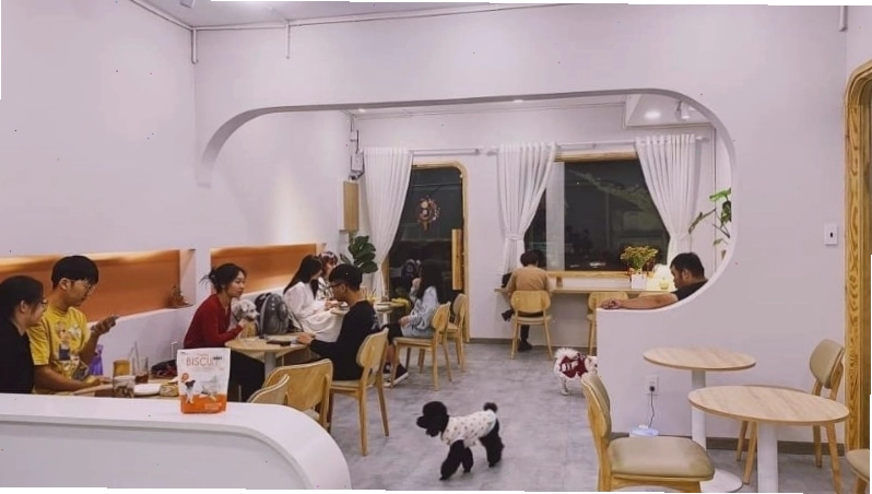 Không gian sáng tạo tại I AM DOG Pet Tea 