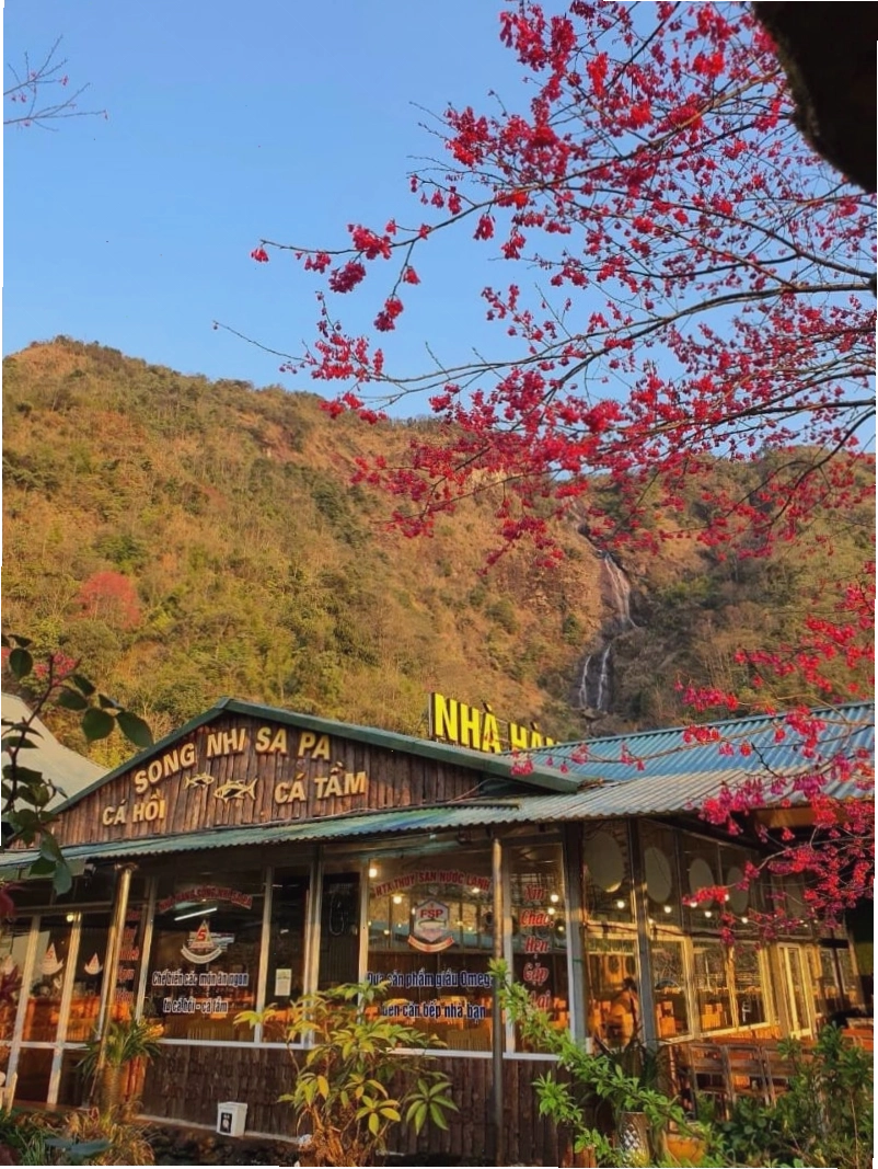 Không gian tại Nhà hàng cá hồi Song Nhi Sapa