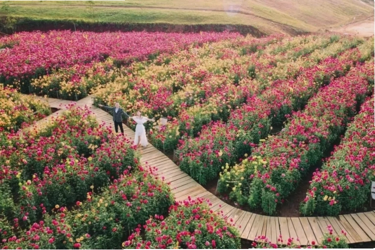 Không gian thơ mộng tại The Florest Đà Lạt