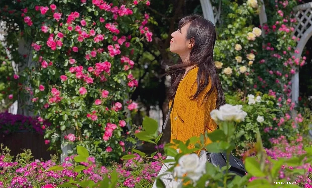 Không gian tràn đầy năng lượng tích cực với hoa hồng rực rỡ