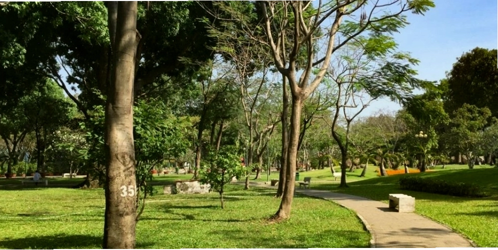 Không gian tươi mát và trong lành tại Công viên 23 Tháng 9