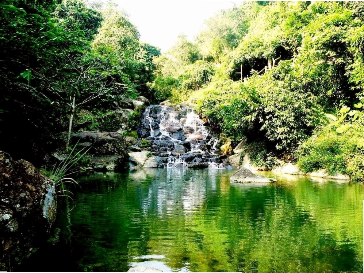 Không gian xanh mát bao phủ khu du lịch