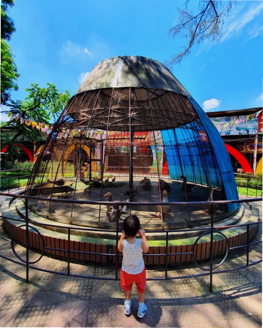 Không gian xanh mát bao quanh hồ nước tại Công Viên Thủ Lệ