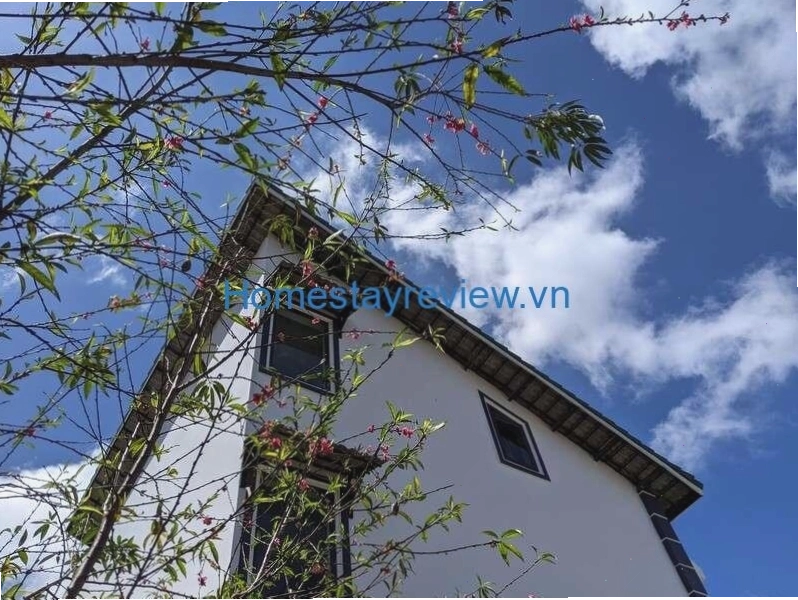Không gian xanh mát bao quanh Nhà Trên Đồi Homestay