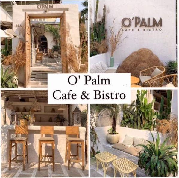 Không gian xanh mát của O’ Palm Cafe với nhiều cây cối
