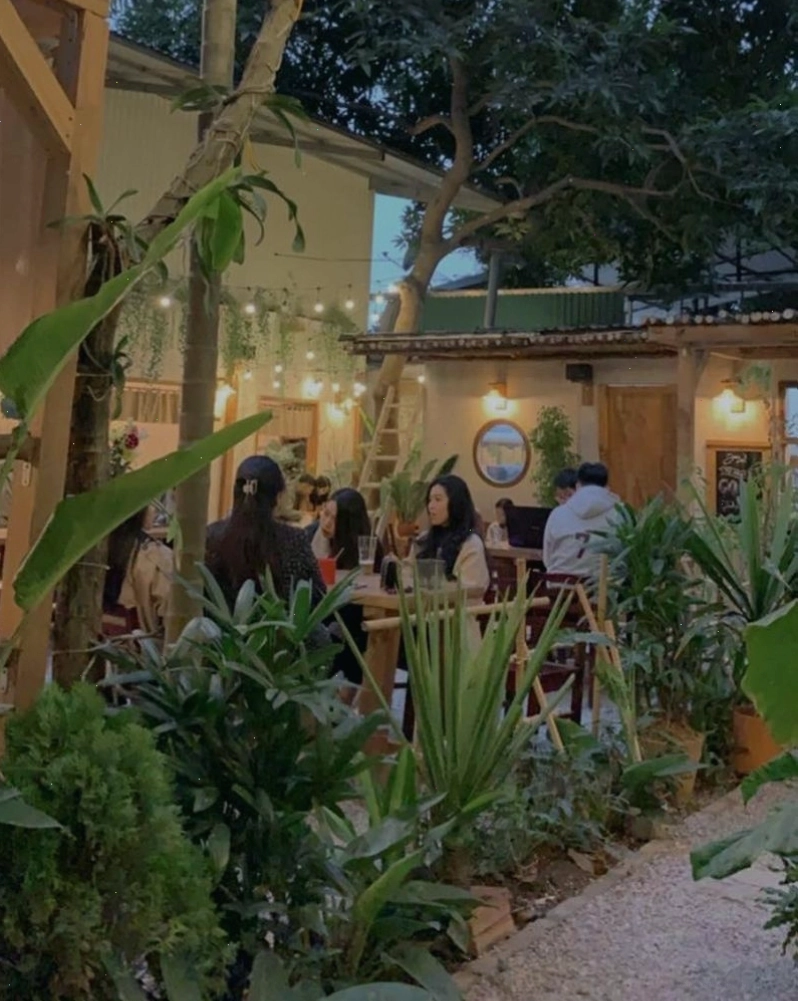 Không gian xanh mát của Treeland Coffee