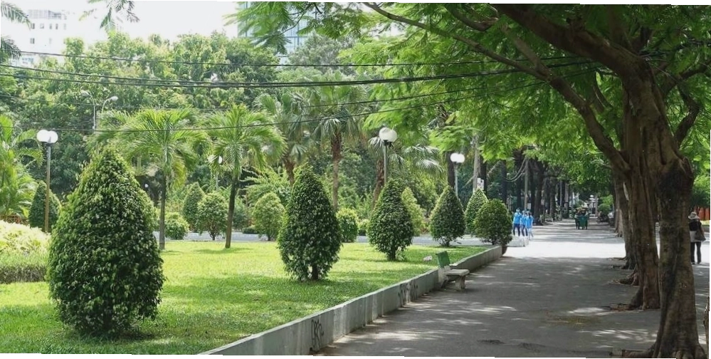 Không gian xanh mát tại Công viên 23 tháng 9