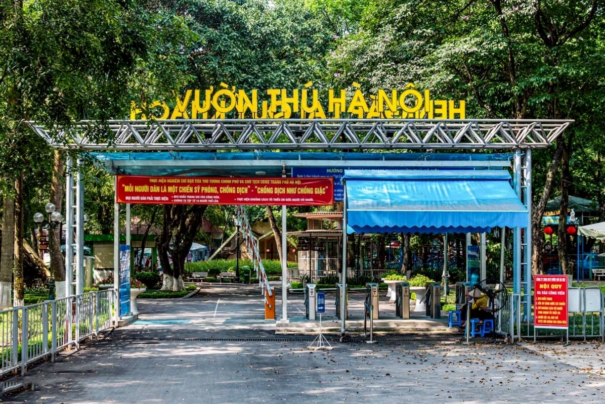 Không gian xanh mát tại một công viên ở Hà Nội