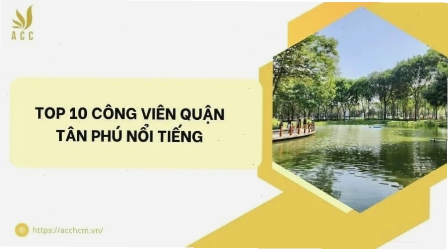 Không gian xanh mát tại một công viên ở quận Tân Phú