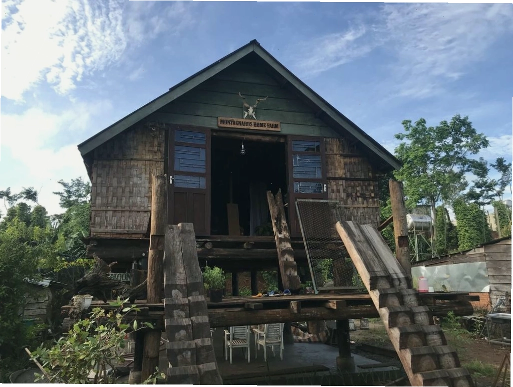 Không gian xanh mát tại một homestay ở Đắk Nông