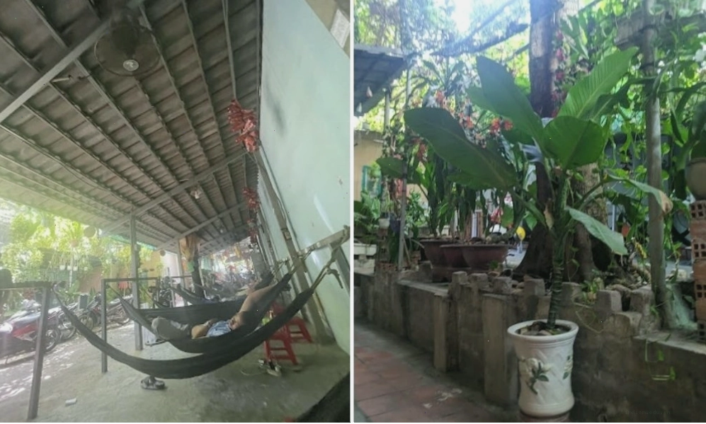 Không gian xanh mát tại quán cafe võng Sa Ke 126, Sài Gòn