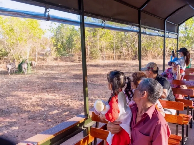 Không gian xanh mát tại Safari cafe Phan Thiết
