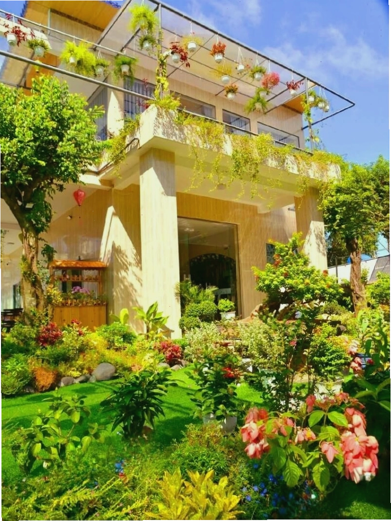 Không gian xanh mát tại Sala Ho Tram Homestay & Villa