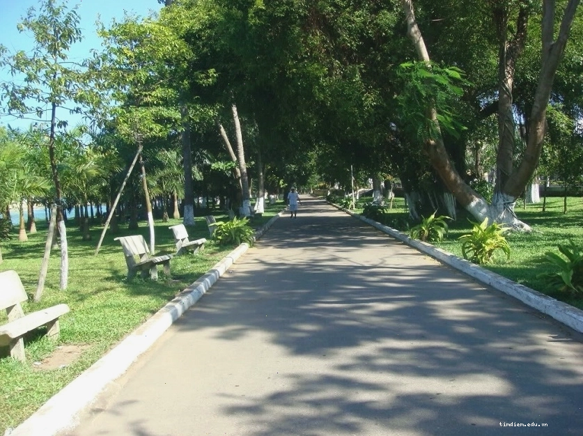 Không gian xanh mát tạo cảm giác thư thái tại công viên 2/9