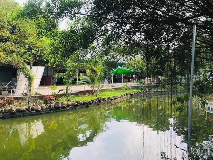 Không gian xanh mát và hồ cá Koi tại Thảo Nguyên Xanh Coffee Biên Hòa
