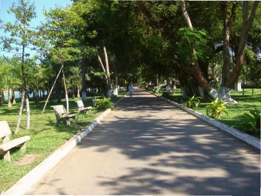 Không gian xanh mát và yên bình tại Công viên 2/9 Đà Nẵng