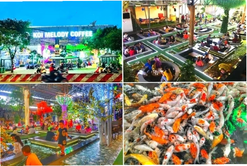 Không gian xanh mát với hồ cá Koi tại Koi Melody Coffee