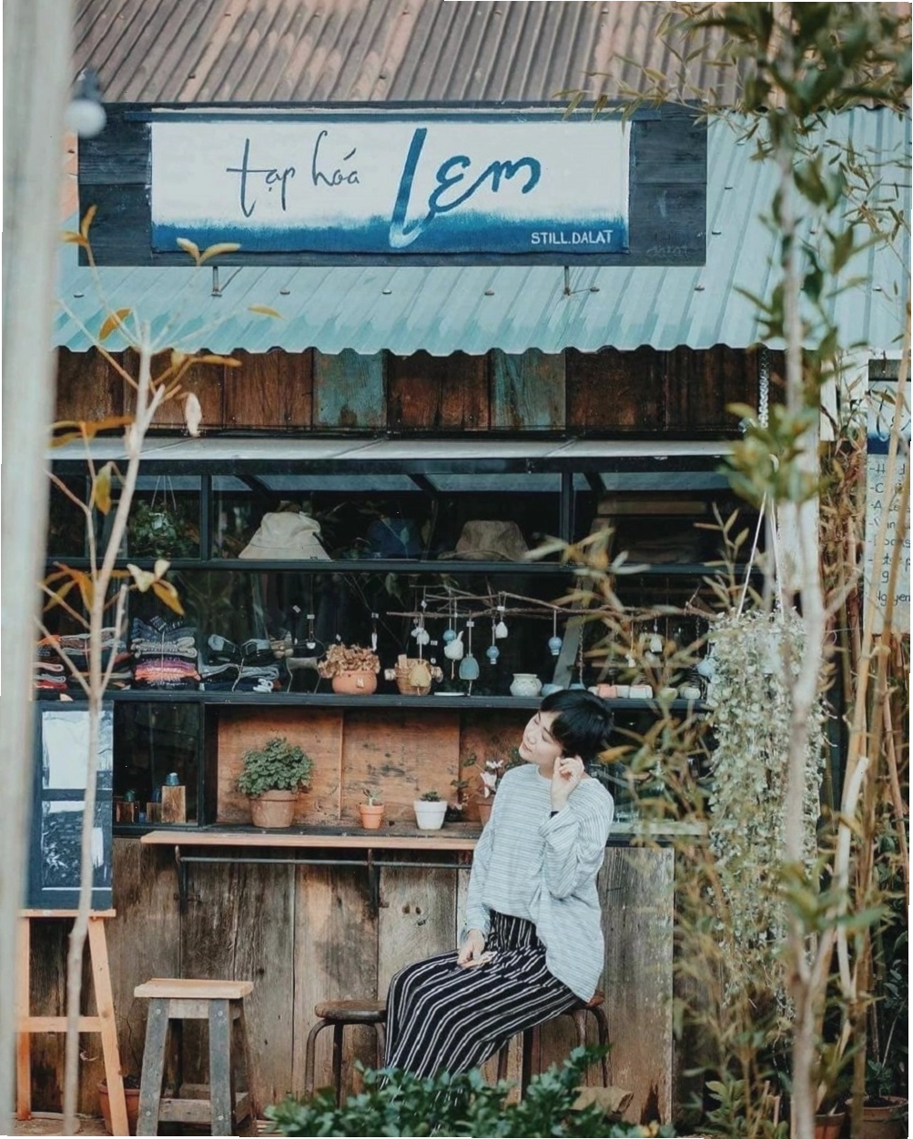 Không gian xanh mát với nhiều cây cối bao quanh Still Cafe