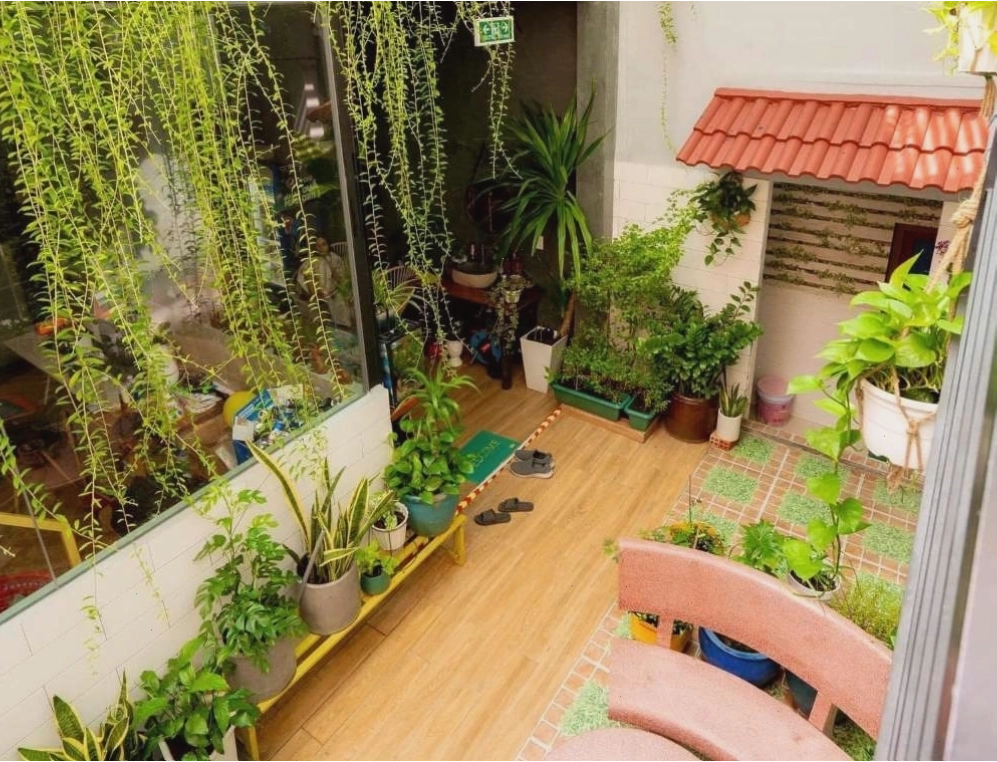 Không gian xanh mướt tại Vania House Homestay