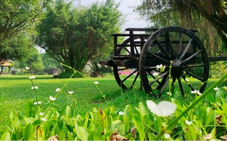 Không gian yên bình bên sông tại Khu Du Lịch Bến Xưa