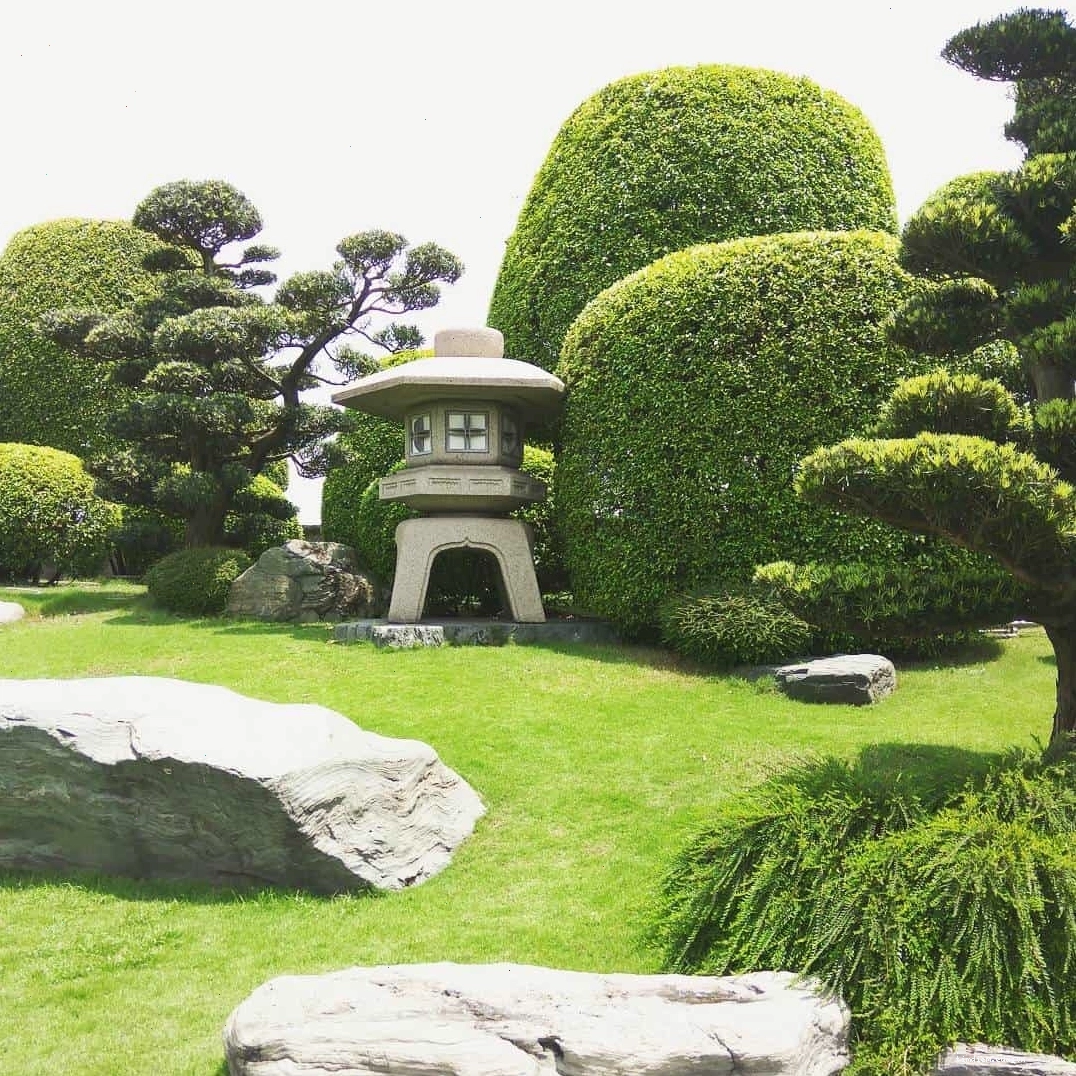 Không gian yên bình và thư giãn tại RinRin Park