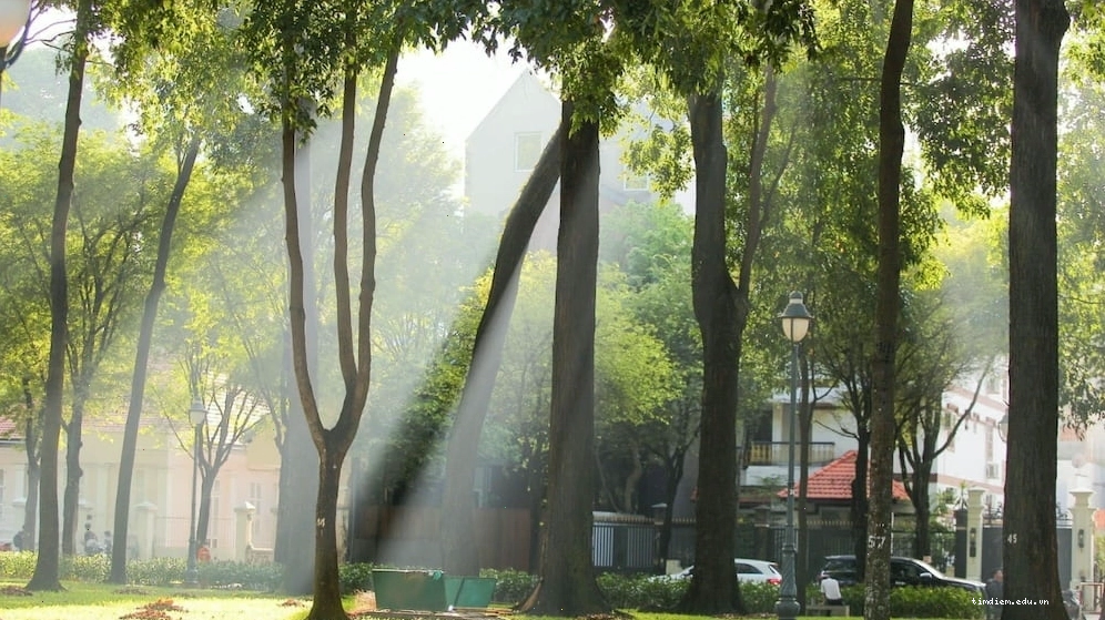 Không khí dễ chịu buổi sáng tại Công viên 30/4