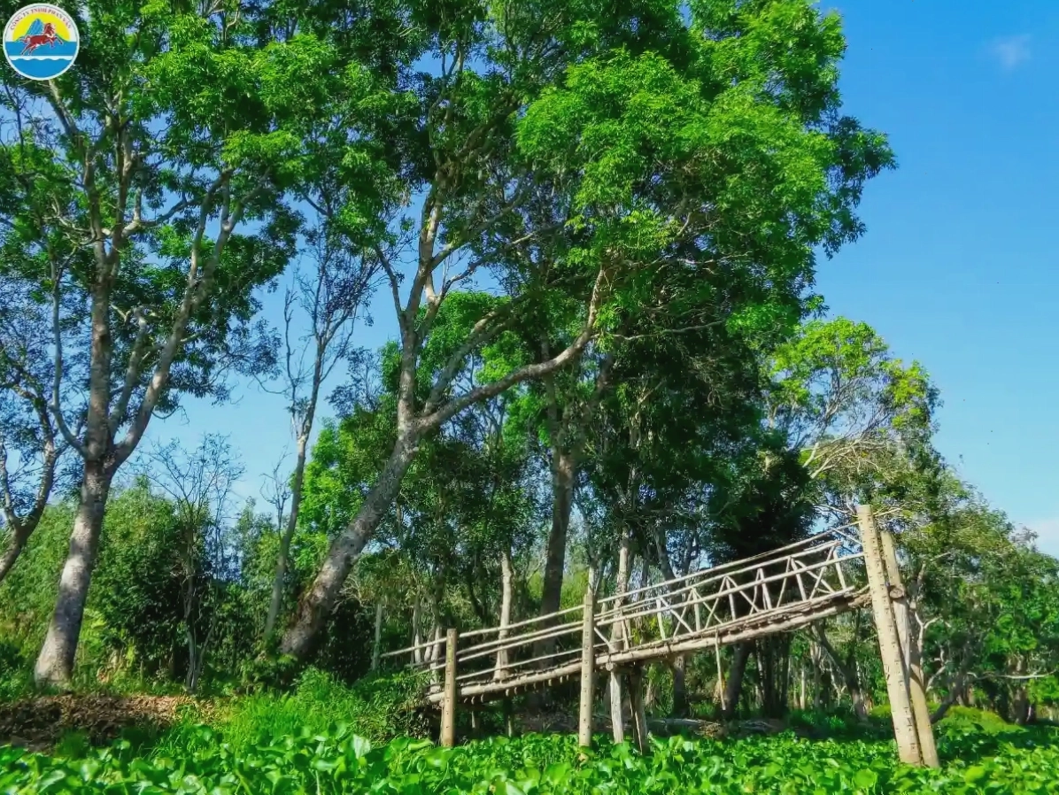 Khu Bảo Tồn Lung Ngọc Hoàng với vẻ đẹp hoang sơ và hệ sinh thái đa dạng