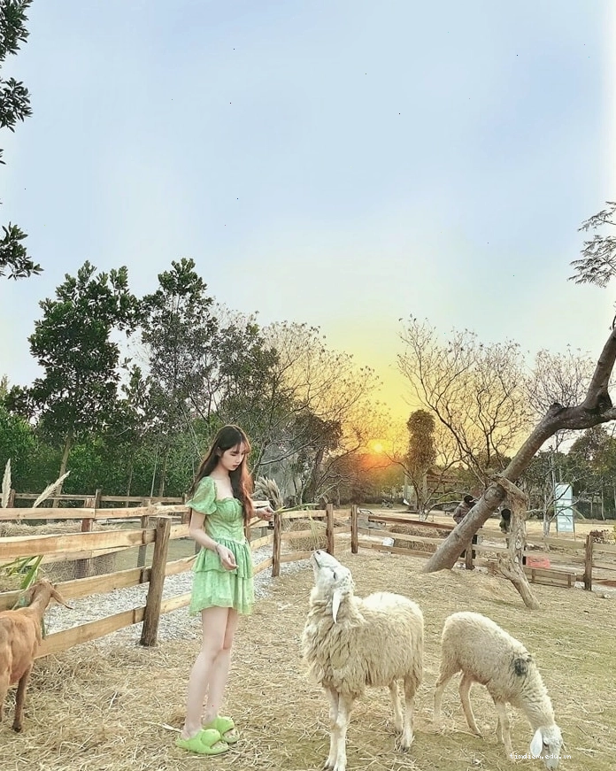 Khu du lịch cộng đồng Bản Ven với cảnh quan núi rừng và văn hóa địa phương