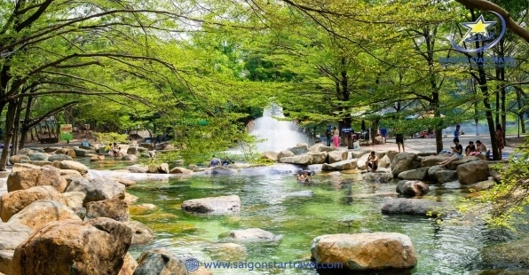 Khu Du Lịch Thủy Châu: Thiên Đường Suối Nước Nóng và Picnic Lý Tưởng