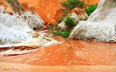 Khu Nghỉ Dưỡng Suối Hồng Phan Thiết: Điểm Hẹn Lý Tưởng Giữa Thiên Nhiên