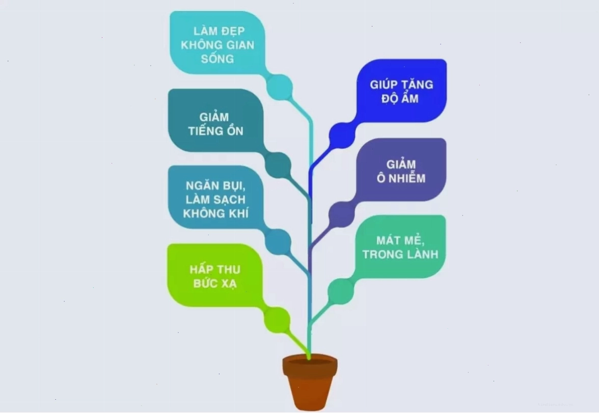 Khu vực ghế ngồi thư giãn dưới bóng cây