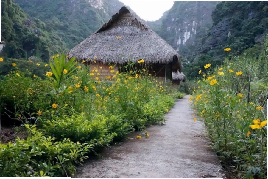 Khu vực hồ bơi vô cực tại Ninh Binh Valley Homestay