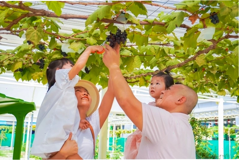 Khu vực mua sắm và ẩm thực tại Suối Tiên