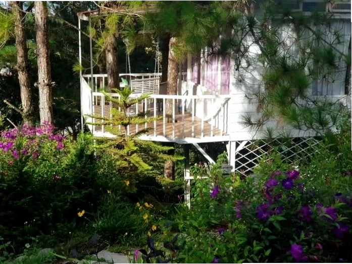 Khu vực sân vườn của homestay