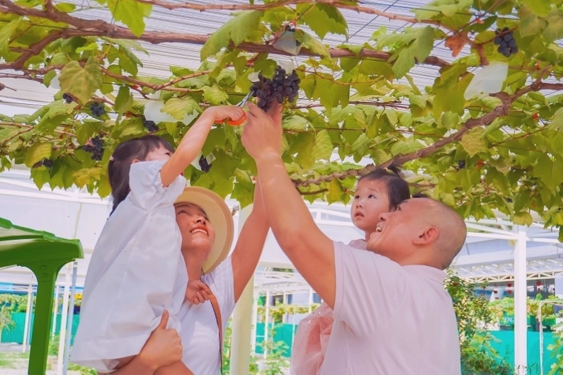 Khu vực Suối Tiên Farm với cảnh quan xanh mướt