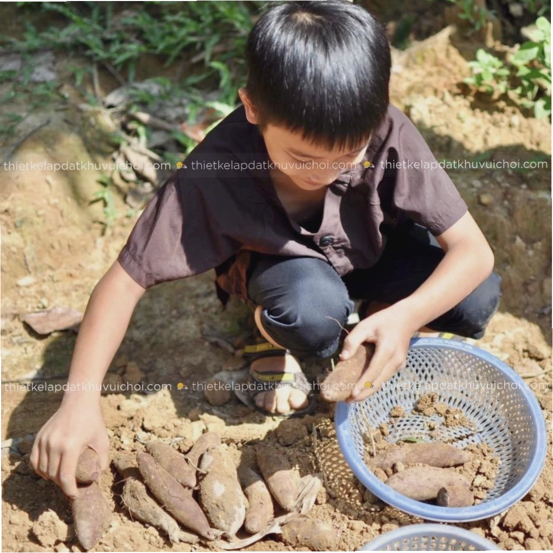 Khu vui chơi dã ngoại cho trẻ em tại Bản Rõm