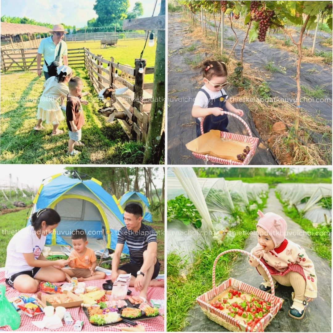 Khu vui chơi dã ngoại cho trẻ em tại Chimi Farm 4
