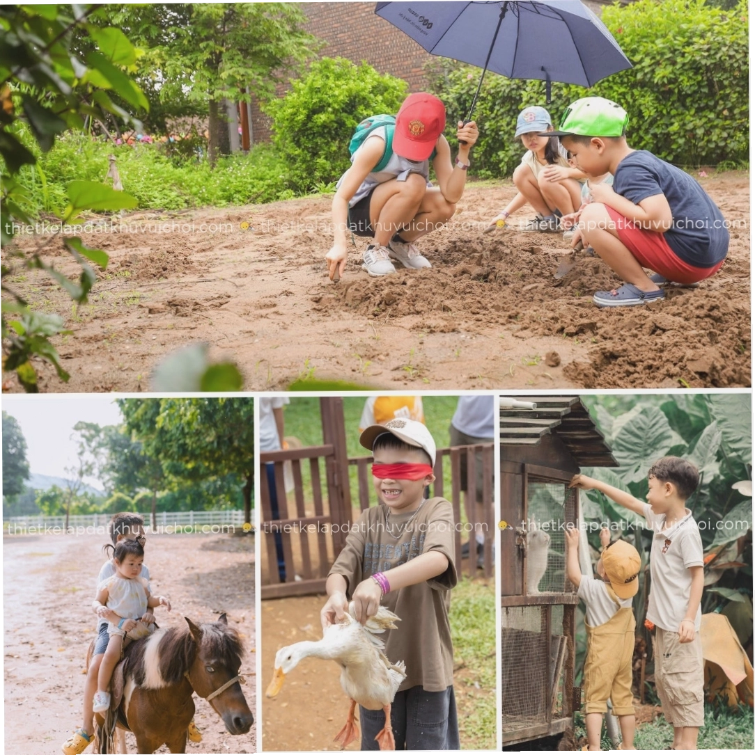 Khu vui chơi dã ngoại cho trẻ em tại Detrang Farm
