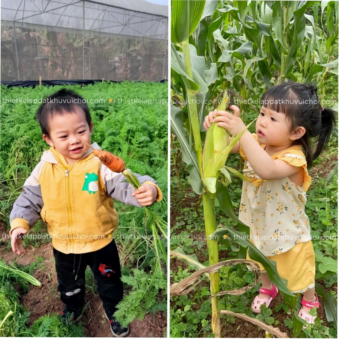 Khu vui chơi dã ngoại cho trẻ em tại Erahouse