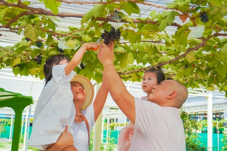 Khu vui chơi dưới nước tại Suối Tiên